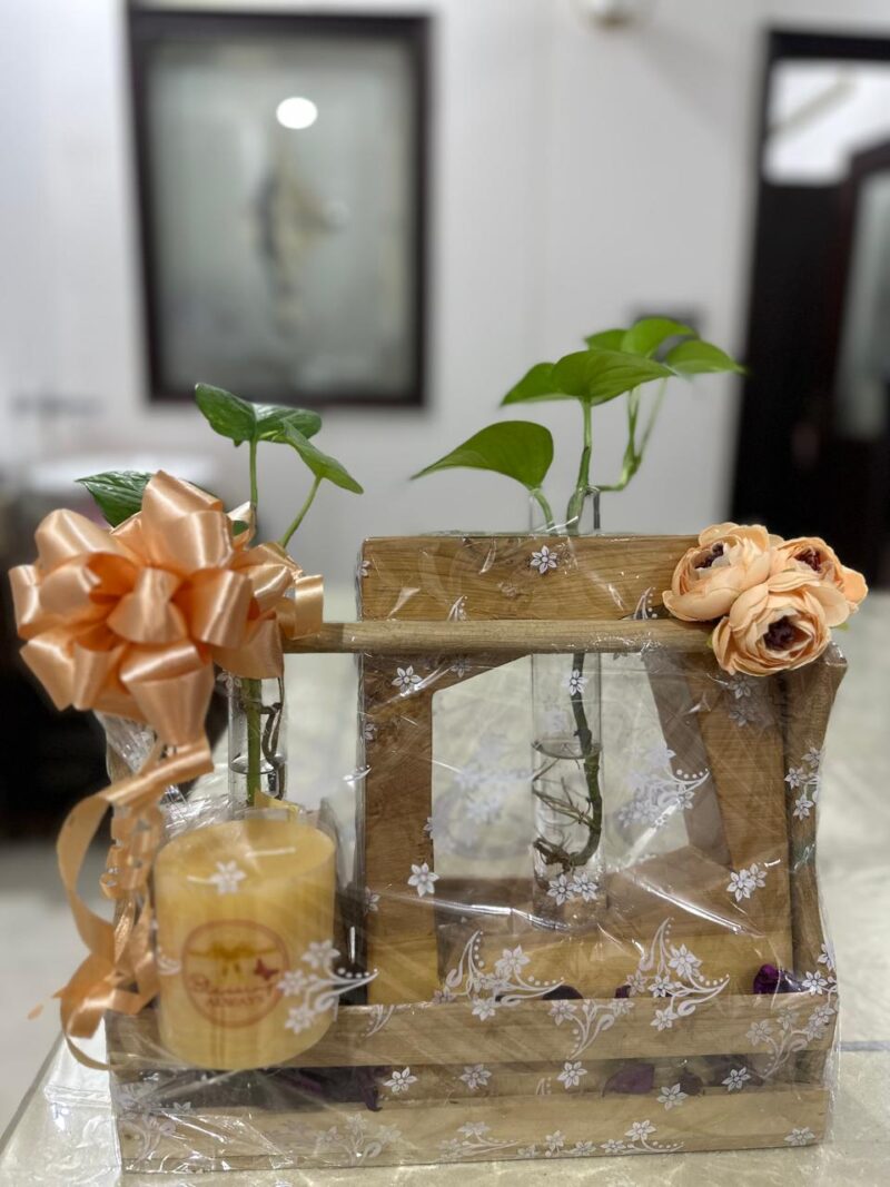Eco Friendly Hamper